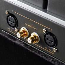 Load image into Gallery viewer, Cayin HA-2A Amp