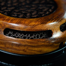 Load image into Gallery viewer, Tessidera