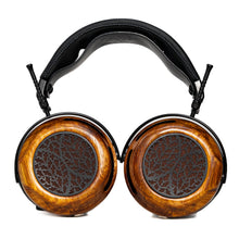 Load image into Gallery viewer, Tessidera