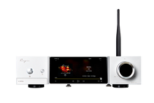 Load image into Gallery viewer, Cayin iDAP - 8