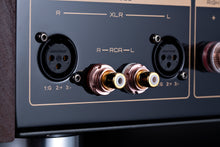 Load image into Gallery viewer, Cayin Soul 170L-HA