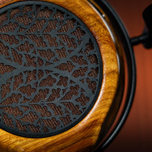 Load image into Gallery viewer, Tessidera
