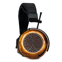 Load image into Gallery viewer, Tessidera
