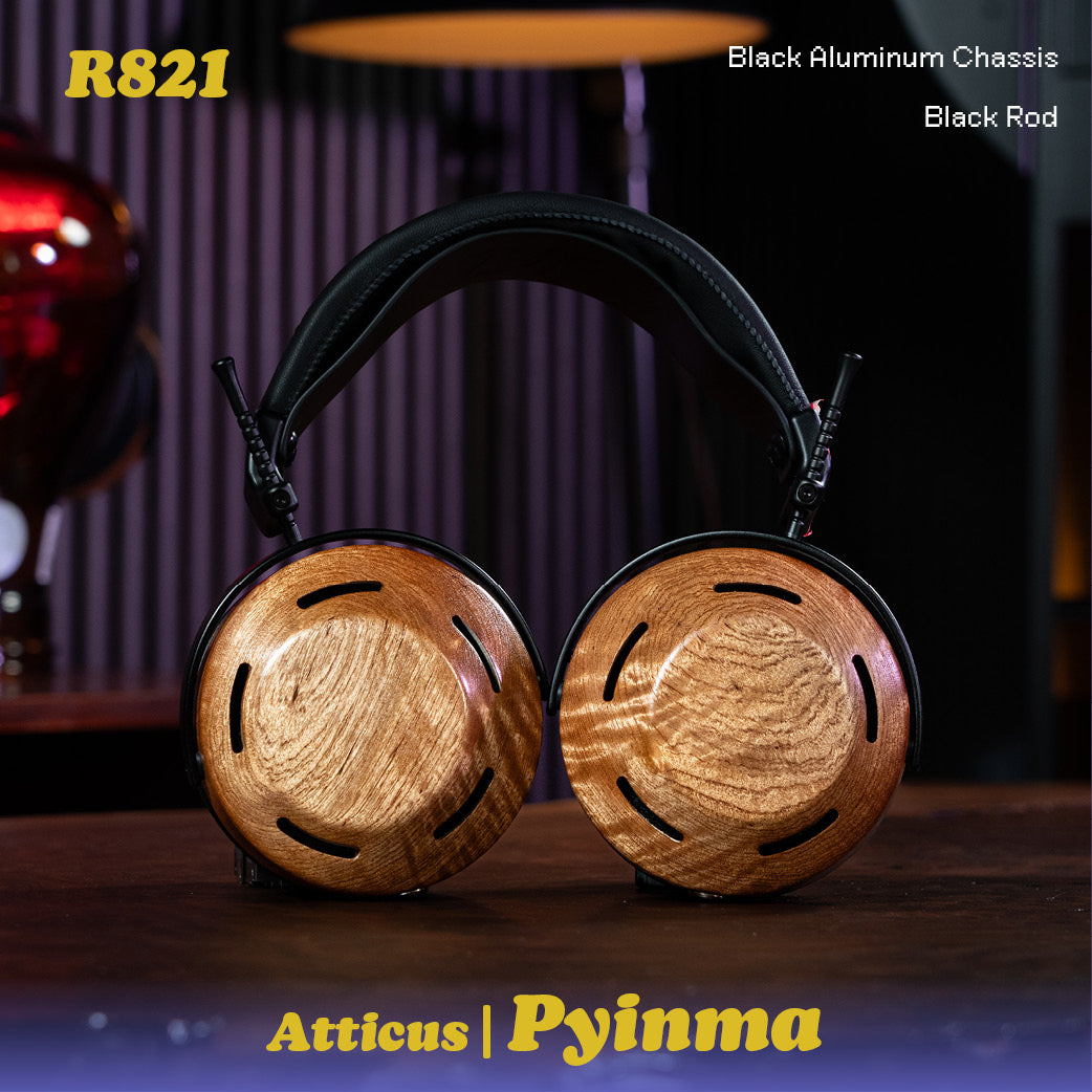 Human Motives Slot In The Dark 試聴 kbd Human Motives Slot In The Dark 試聴 kbd Amazon.co.jp: Shot In The